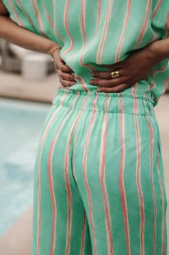 Colored Pants | Large*Freeman T. Porter Phandy Crafty Stripe deepmint